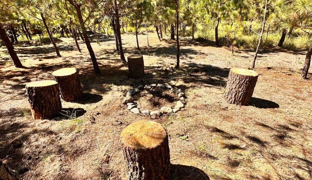 Your perfect shelter among the trees in San Antonio el Paso