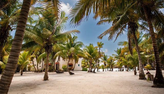 Yum Botic Villa, Costa Maya Mahahual Mexico -100 feet from beach! home house