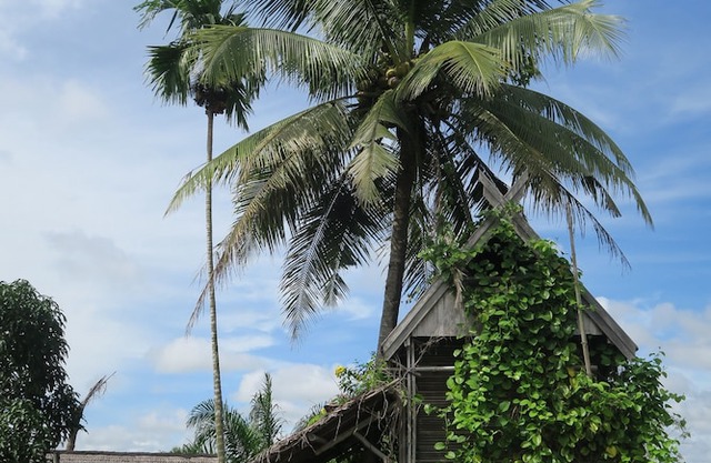 Bukit Raya Guesthouse