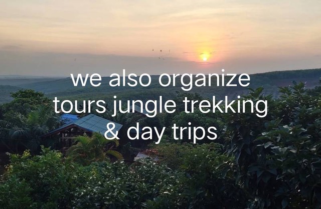 Tree Trails Travel Lodge 