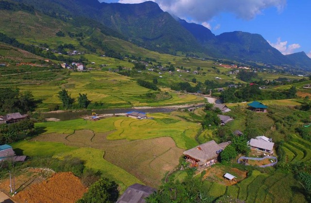 Homestay 