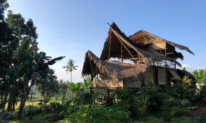 Banyuwangi Bed & Breakfast | 20 m² Bed and breakfast ∙ 3 guests