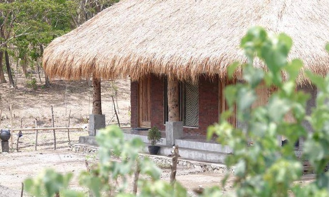 Jerowaru Hotel | 25 m² Hotel ∙ 2 guests