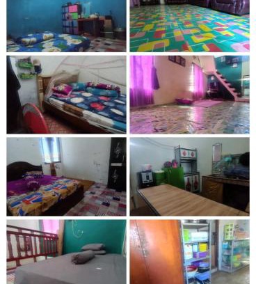 Komodo House | Atta komodo homestay