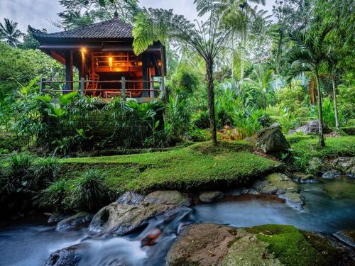 East Selemadeg Cabin | Bali Eco Stay