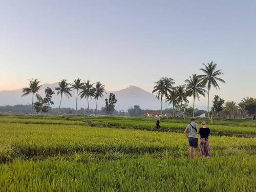 Kecamatan Sikur Bed & Breakfast | Bed and breakfast ∙ 1 bedroom ∙ 2 guests