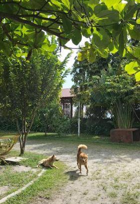 Balige Bed & Breakfast | Bed and breakfast ∙ 1 bedroom ∙ 2 guests