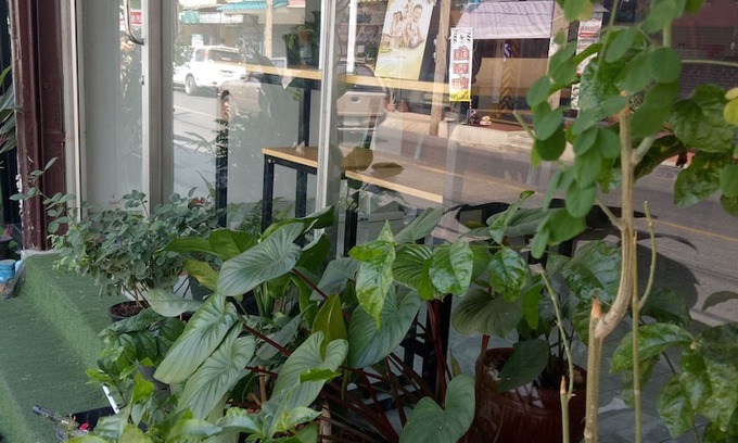Don Muang Hotel | D House Hostel