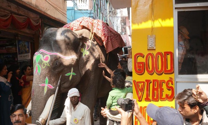 Varanasi Hostel | Good Vibes hostel