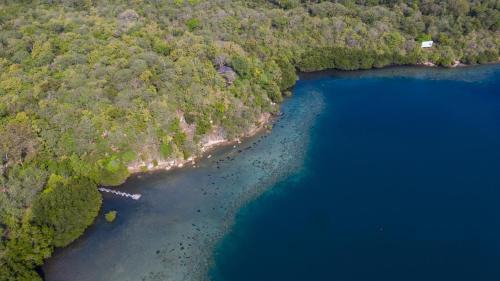 Pejarakan House | Menjangan Ecolodge - CHSE Certified