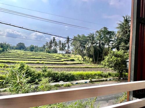 Banyuwangi Hostel | Paddy View Hostel