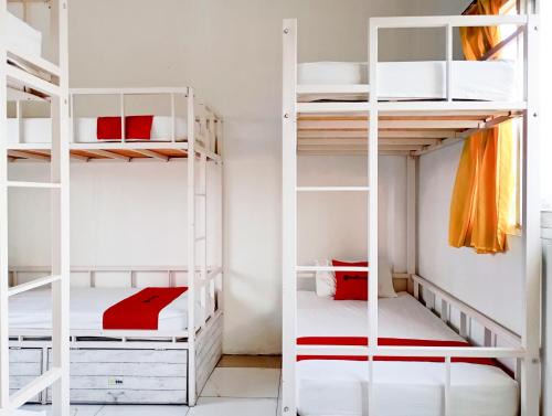 Kasihan Hotel | RedDoorz Hostel at Luna Bunkbed Malioboro