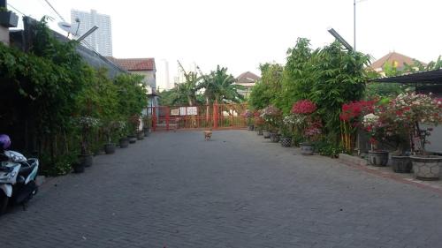 Sei Pinang House | Taman Paradise Homestay