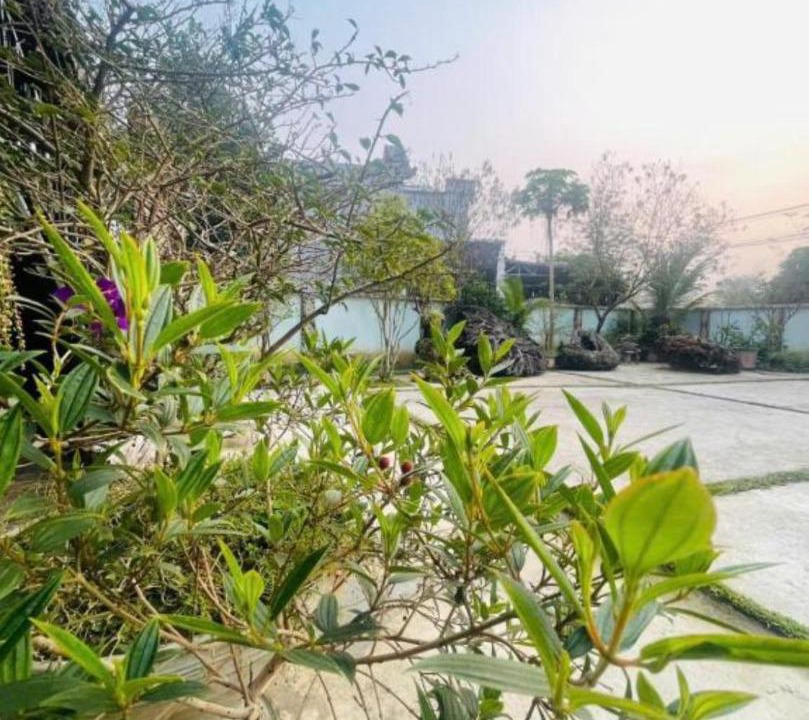 Nghia Lo Apartment | Hải Long Homestay Yên Bái