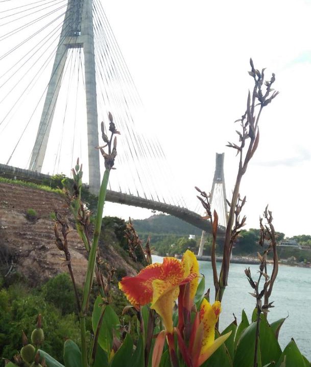 Kabil Hotel | Barelang Bridge Hotel