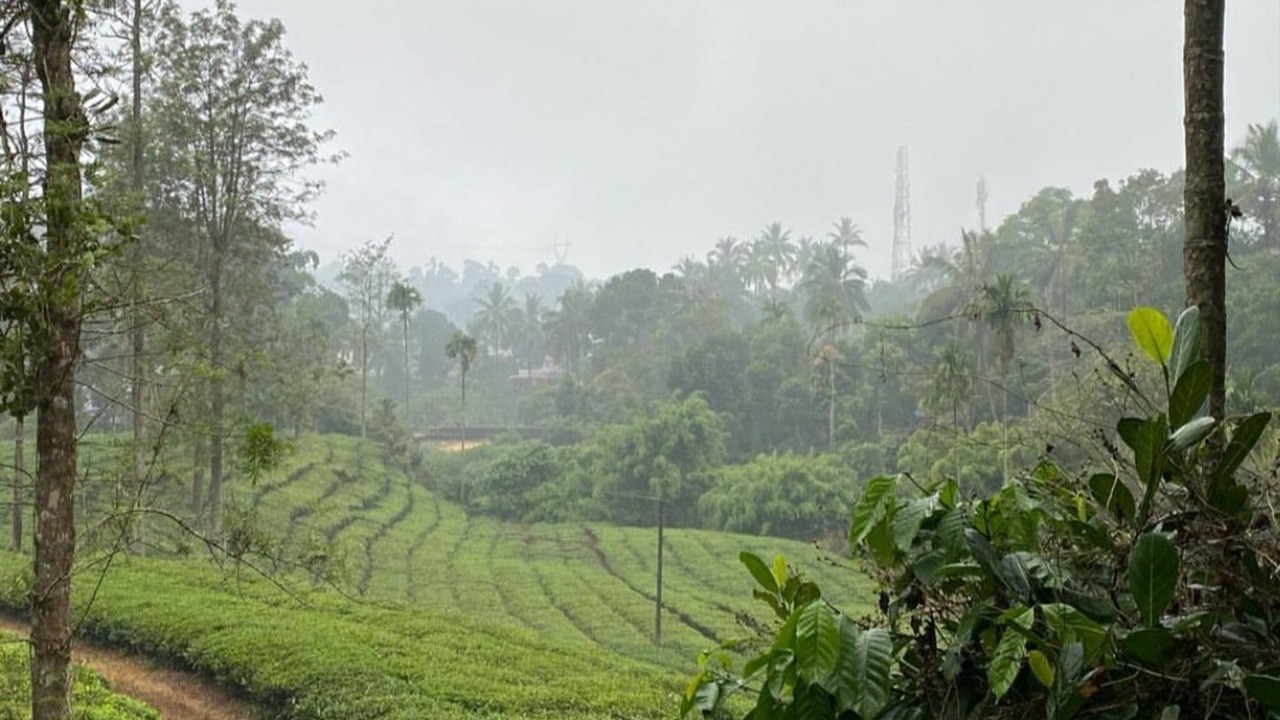 Photo of Outdoor in Vythiri