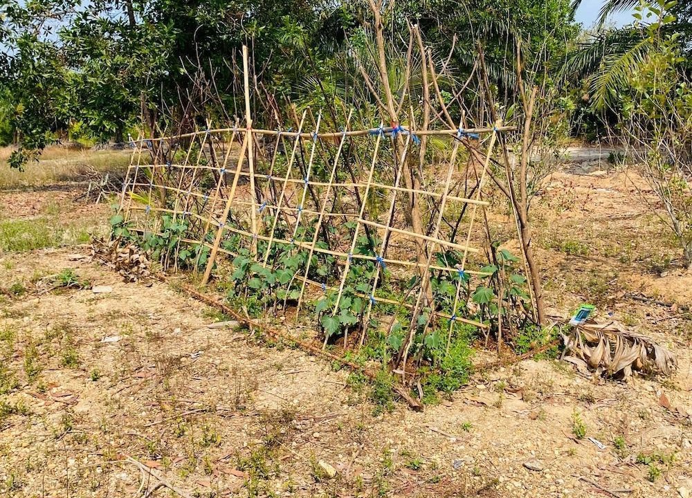 Photo of Outdoor in Kra Buri