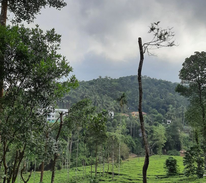 Photo of Outdoor in Vythiri