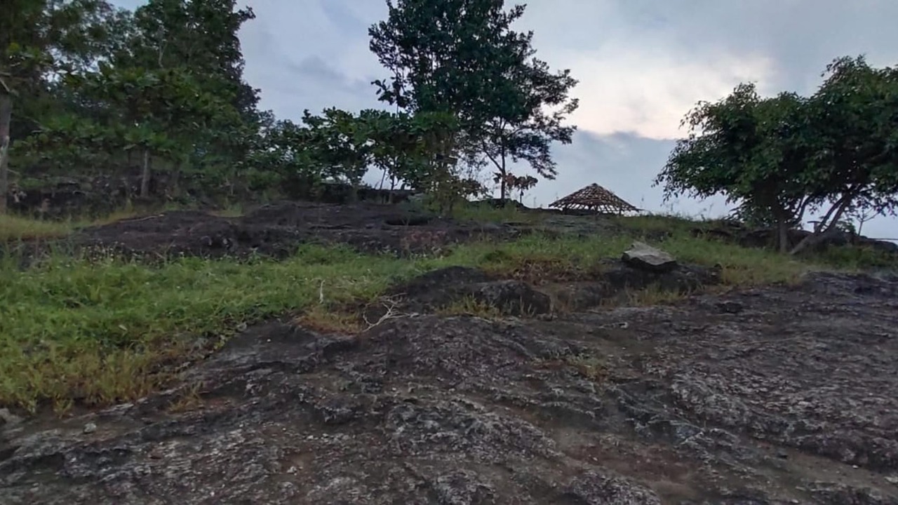 Photo of Others in Srimulyo