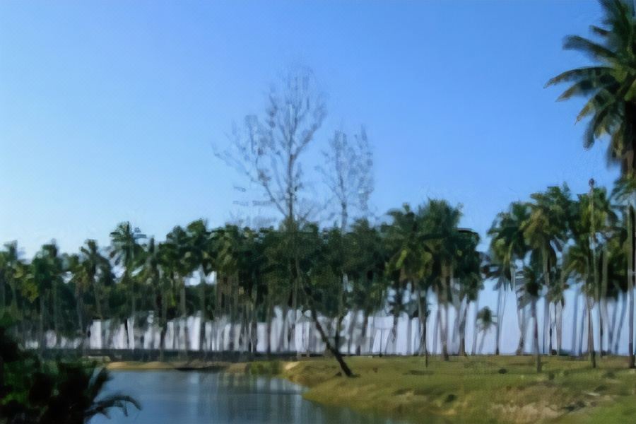 Photo of Outdoor in Pantai Penarik