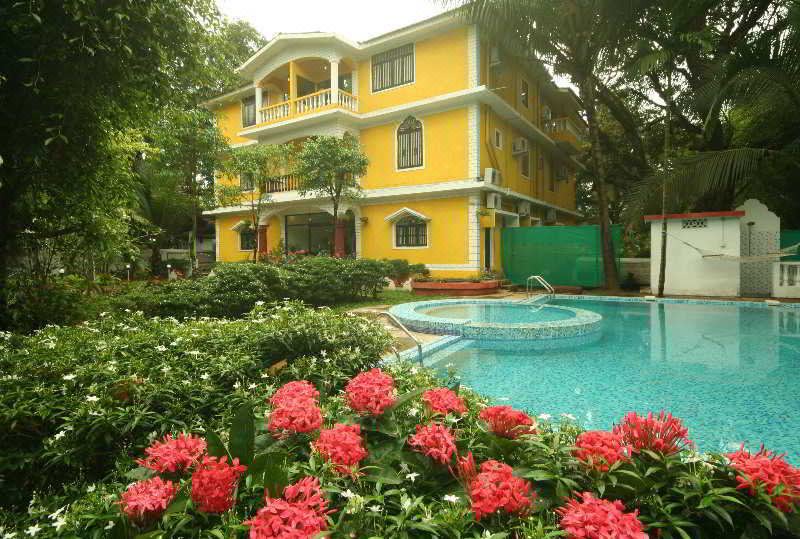 Photo of Outdoor in Siolim