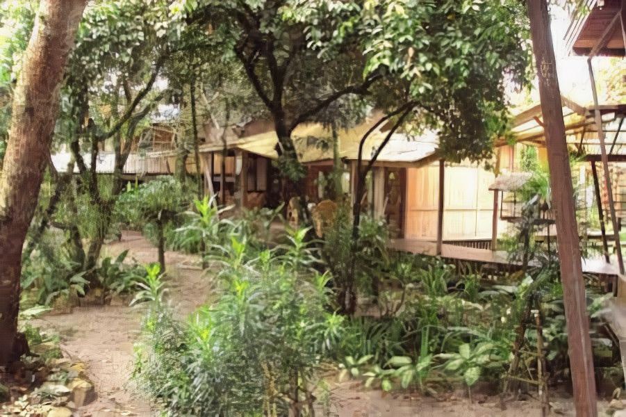 Photo of Others in Palangkaraya