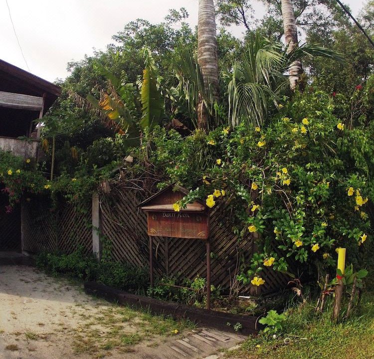 Photo of Others in Palangkaraya