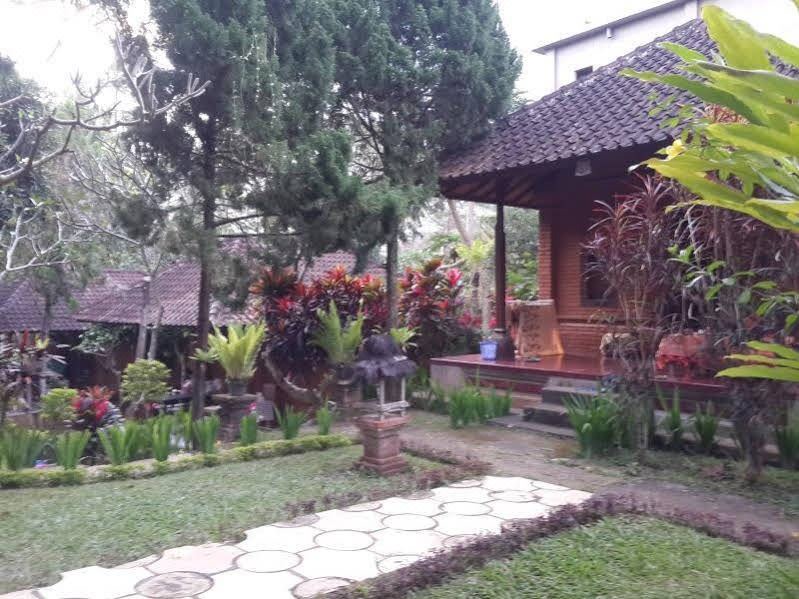 Photo of Buildings in Ubud City-Centre