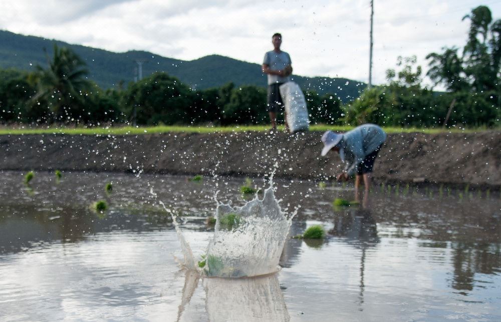 Photo of Outdoor in Ban Luang