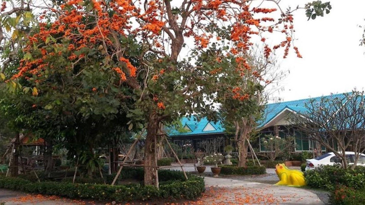 Photo of Buildings in Sam Chuk