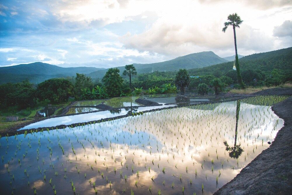 Photo of Outdoor in Ban Luang