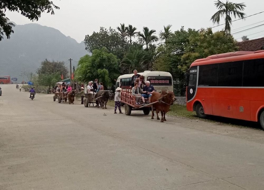 Photo of Others in Gia Vien