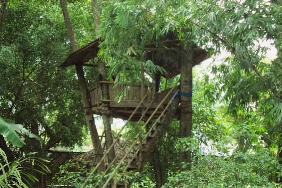 Photo of Others in Palangkaraya