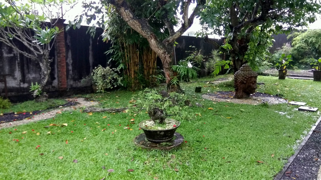 Photo of Others in Colomadu
