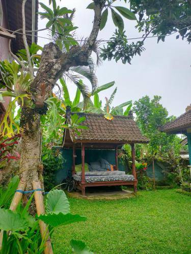Photo of Buildings in Medewi