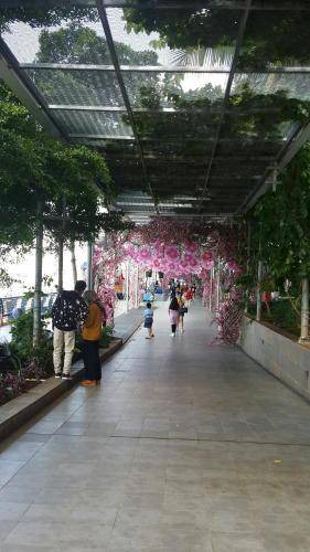 Photo of Others in Pluit
