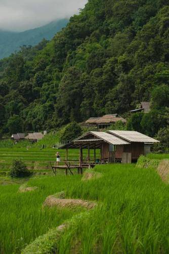 Photo of Others in Mae Chaem