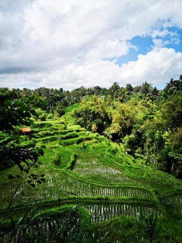 Photo of Others in Tetebatu