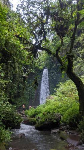 Photo of Others in Tetebatu