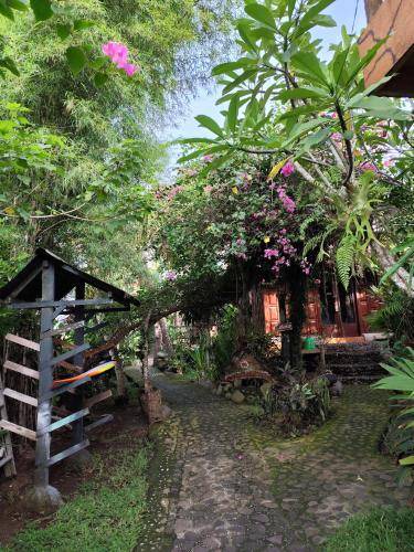 Photo of Others in Medewi