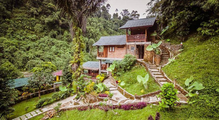 Photo of Others in Bukit Lawang