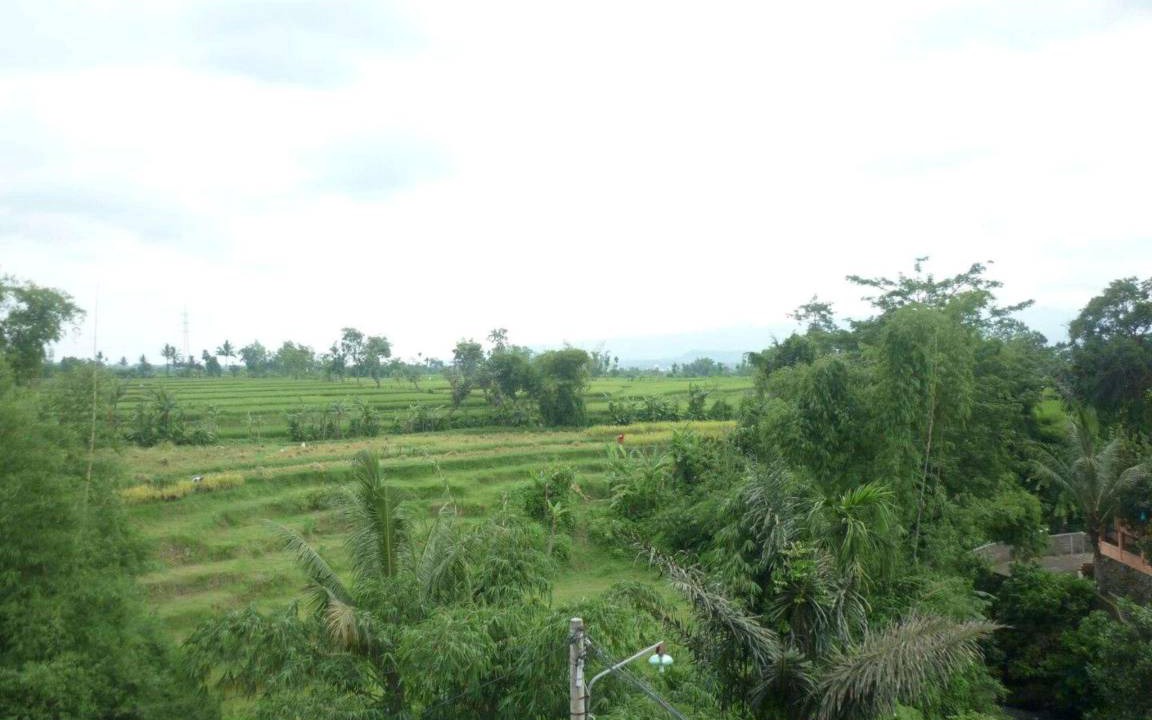 Photo of Others in Malang