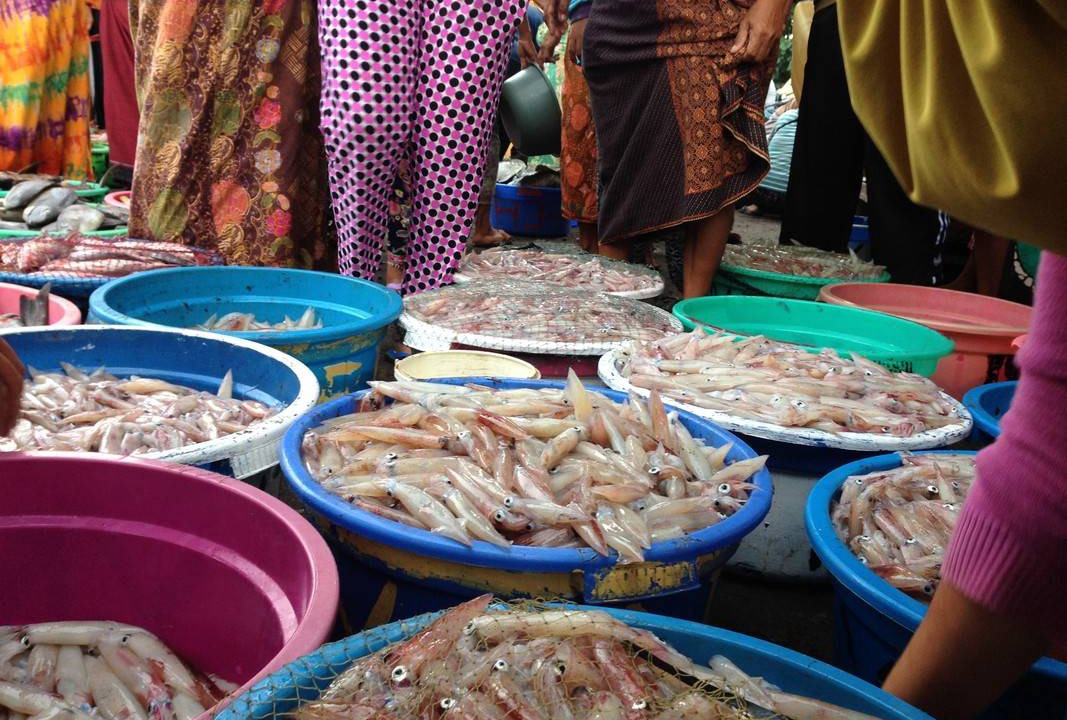 Photo of Others in Jerowaru