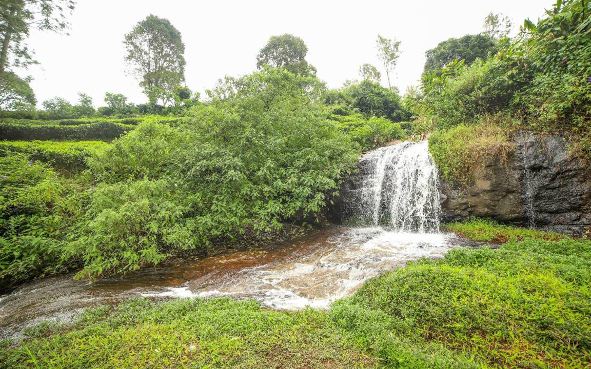 Photo of Others in Kotagiri