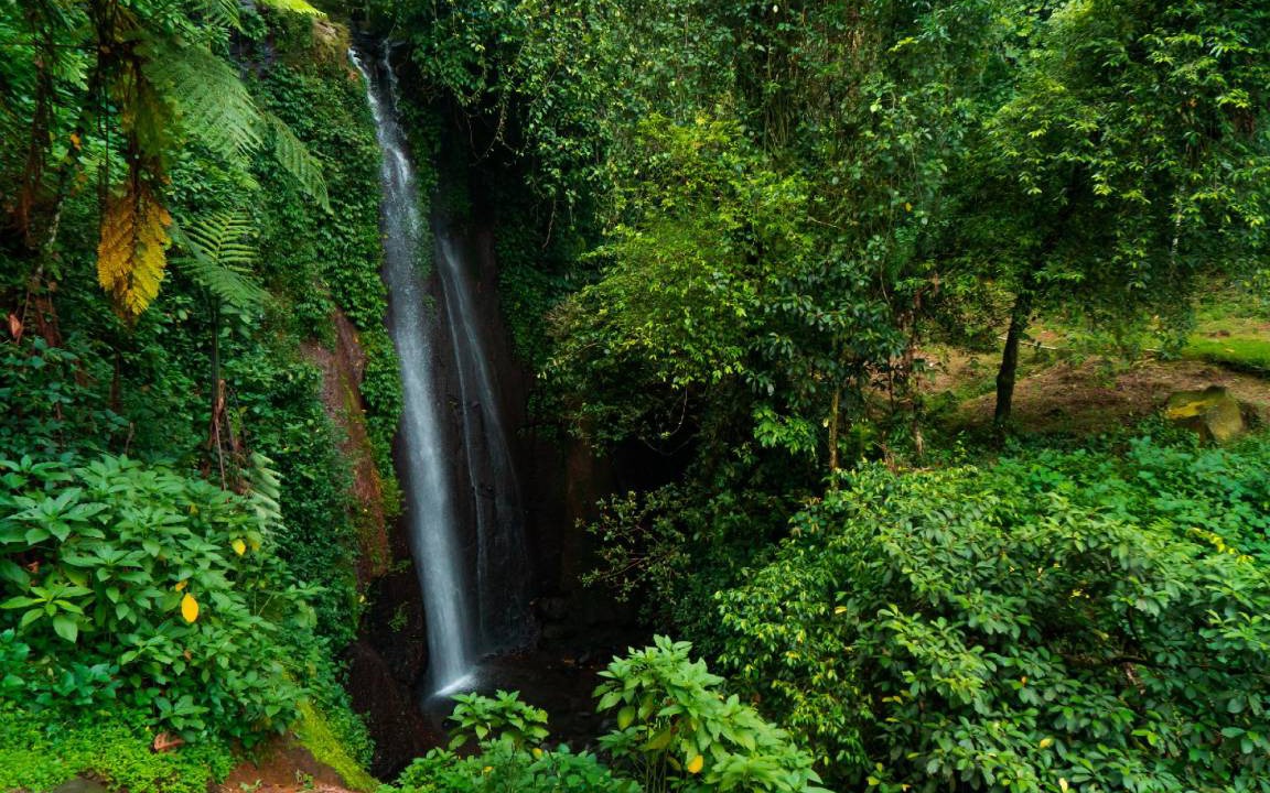 Photo of Others in Gunung Bunder I