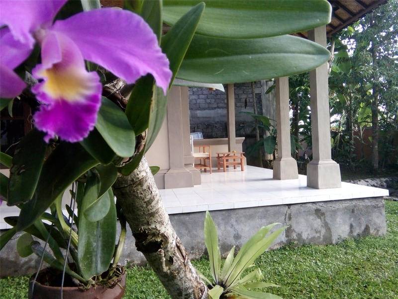 Photo of Others in Ubud City-Centre