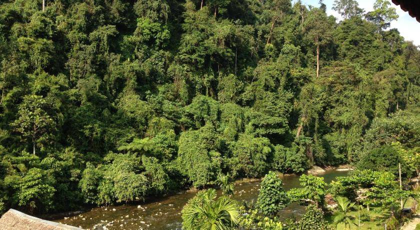 Photo of Others in Bukit Lawang
