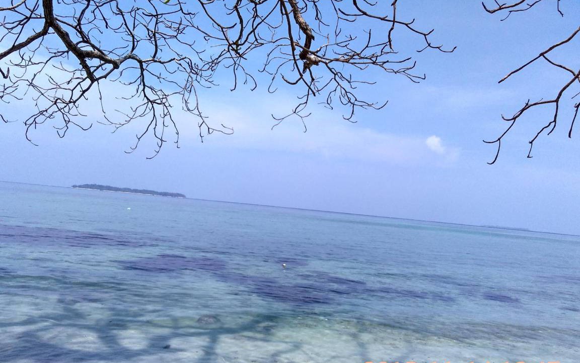 Photo of Others in Karimunjawa Islands