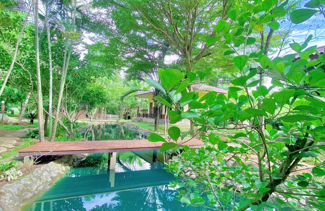 Photo of Others in Suan Phueng
