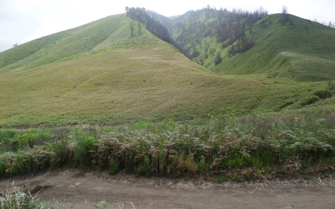 Photo of Others in Sukapura